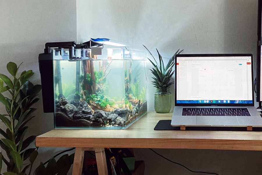 Aquarium sur bureau